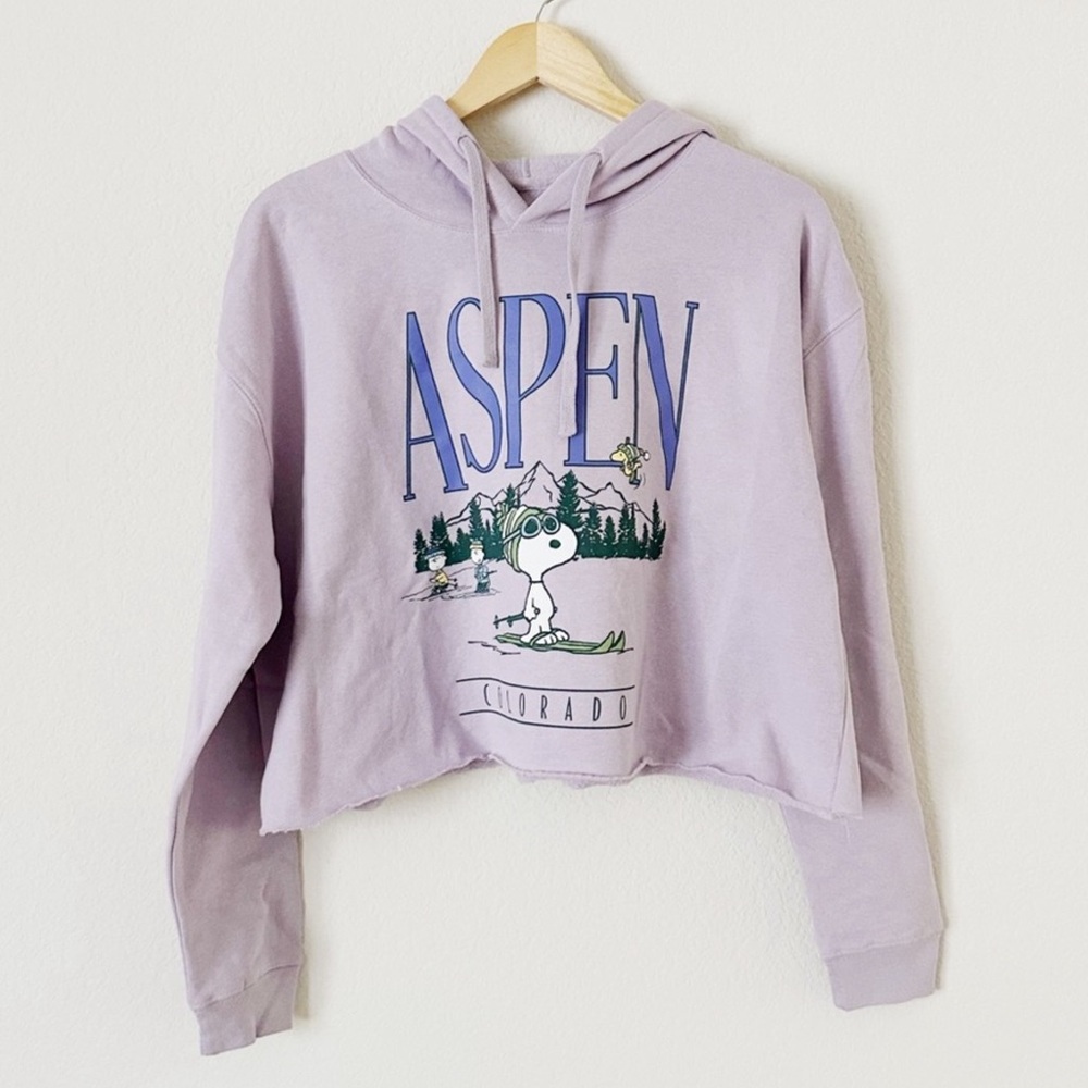 NWOT Aspen Colorado Cropped Hoodie